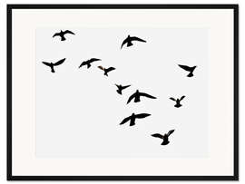 Gerahmter Kunstdruck Schwarm Vögel