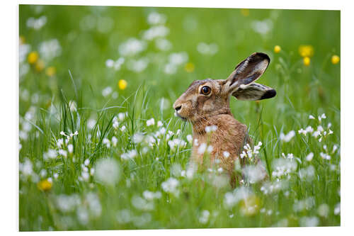 Hartschaumbild Hase im Glück