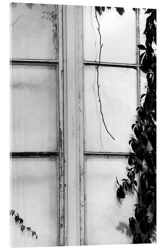 Acrylic print The window