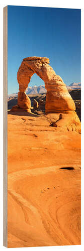 Hout print Delicate Arch