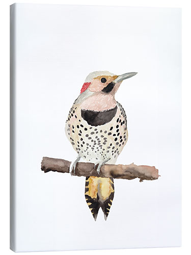 Canvas print Colaptes auratus