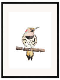 Gerahmter Kunstdruck Goldspecht