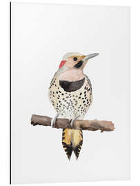 Magnettafel Goldspecht