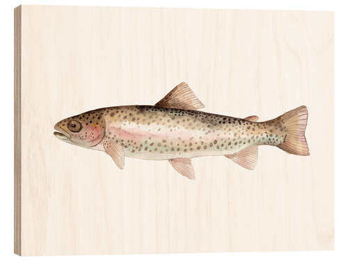 Wood print Rainbow trout