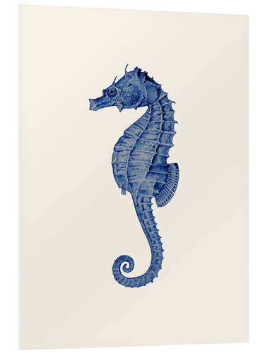 Quadro em PVC Navy blue seahorse