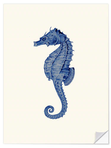 Naklejka na ścianę Navy blue seahorse