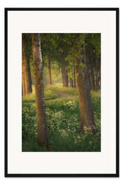 Gerahmter Kunstdruck Schönes Licht in einem Wald nahe Breda in den Niederlanden