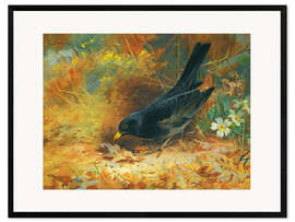 Plakat artystyczny premium w ramie Blackbird