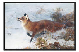 Gerahmter Kunstdruck Fuchs