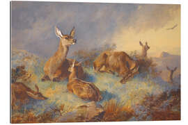 Gallery print Watchful deer