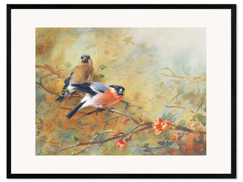 Plakat artystyczny premium w ramie Bullfinch and Japanese lavender heather