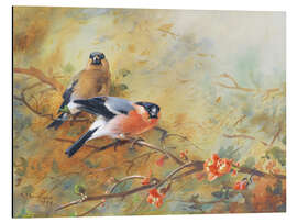 Magnettafel Gimpel und japanische Lavendelheide