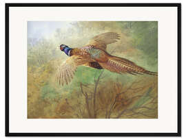Gerahmter Kunstdruck Fasan im Flug