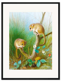 Gerahmter Kunstdruck Haselmäuse