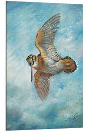 Magnettafel Eigentliche Schnepfen