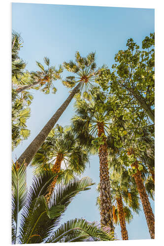 PVC print Palm Trees In Miami