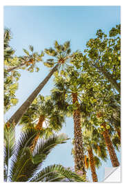 Wall sticker Palm Trees In Miami