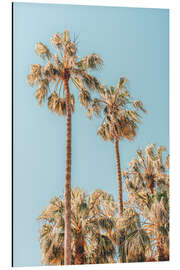 Magnettafel Palmen in Miami