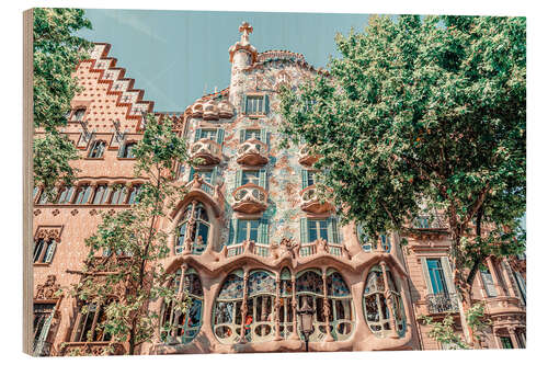 Obraz na drewnie Casa Batllo by Antoni Gaudi in Barcelona, Spain II