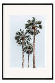 Gerahmter Kunstdruck Palmen in Florida