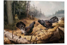 Gallery print The Fighting Capercaillies