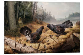 Magnettafel Kampf der Auerhähne - Ferdinand von Wright