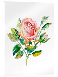 Gallery Print Sommerrose II