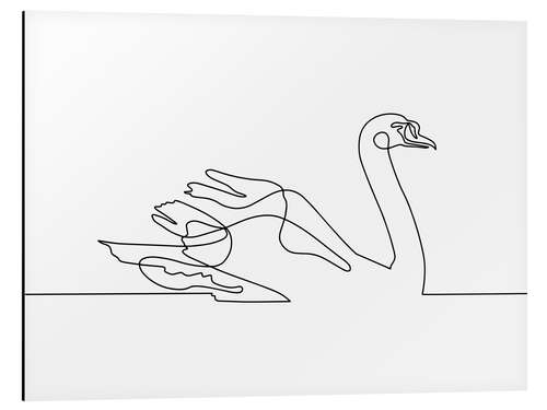 Aluminium print Swan