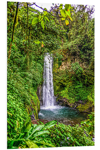 Foam board print Wasserfall in Costa Rica