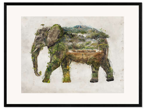 Kehystetty taidepainatus Aftrican elephant