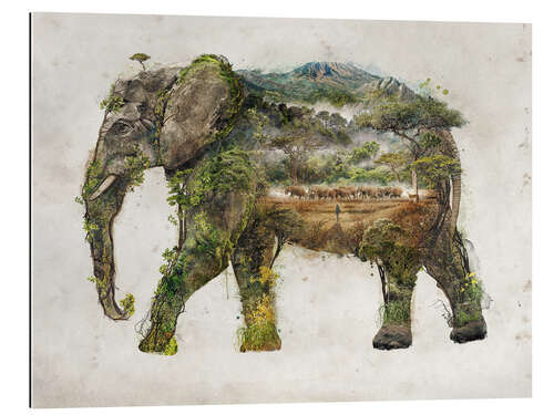 Gallery print Aftrican elephant