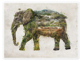 Wall print  Aftrican elephant - Barrett Biggers