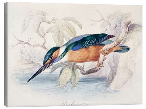 Lienzo Martín pescador
