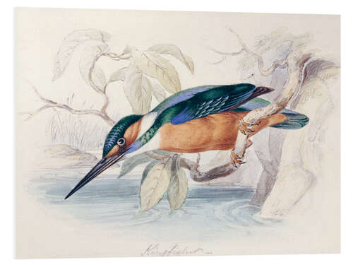 PVC-taulu Kingfisher