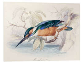 PVC-taulu Kingfisher