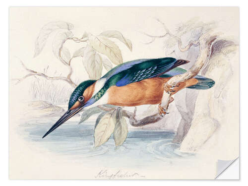 Wandsticker Eisvogel