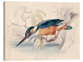 Quadro de madeira Martinho pescatore