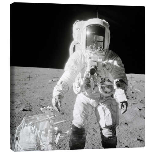 Canvas print Apollo 12 astronaut bean on the moon