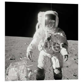 PVC-taulu Apollo 12 astronaut bean on the moon