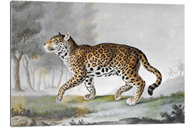 Galleriprint Big panther