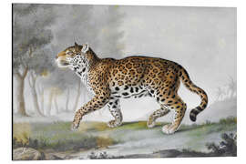 Magnettafel Großer Panther