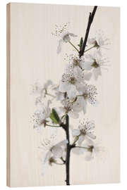 Wood print White flowers