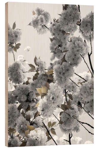 Wood print White spring blossoms