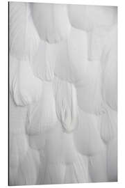 Magnettafel Weiche weiße Federn