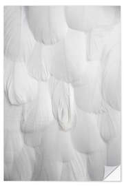 Wall sticker Soft white feathers