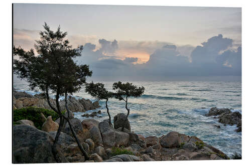 Aluminium print Good morning Sardinia