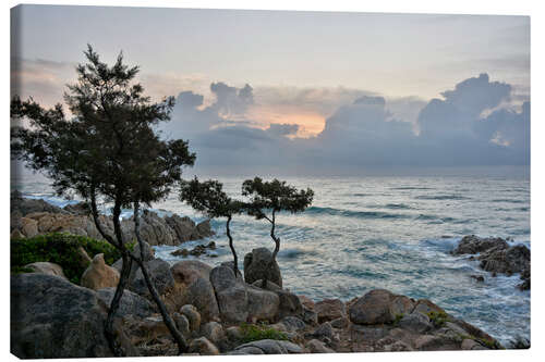 Tableau sur toile Bonjour Sardaigne