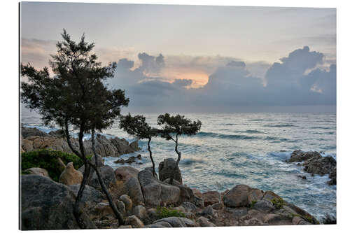 Tableau en plexi-alu Bonjour Sardaigne