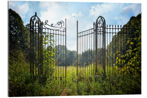 Gallery print Gate to nowhere