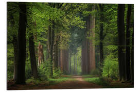 Magnettafel Magischer Märchenwald